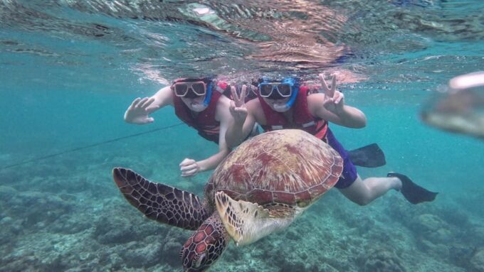 Oslob: Whaleshark Watching, Inambakan Waterfalls, and … - Frequently Asked Questions