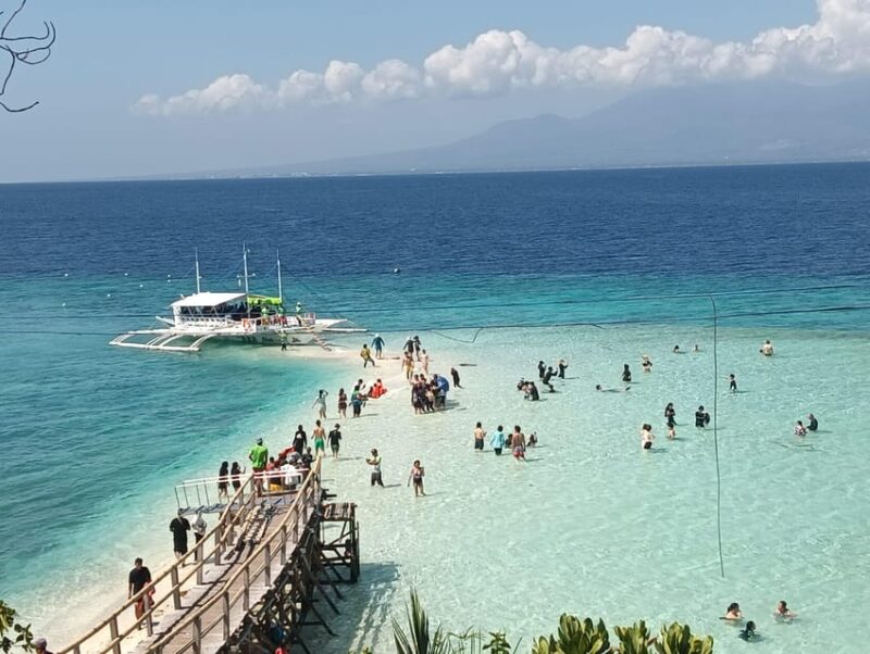 Oslob: Whaleshark Watching, Sumilon Island & Monkey Viewing - Activity Overview
