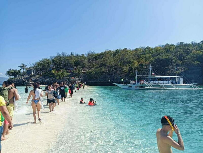 Oslob: Whaleshark Watching, Tumalog Falls & Sumilon Island - Introduction: A Day of Natural Wonders