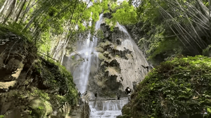 Oslob : Whaleshark Watching, Tumalog Falls & Sumilon Island - Sumilon Island