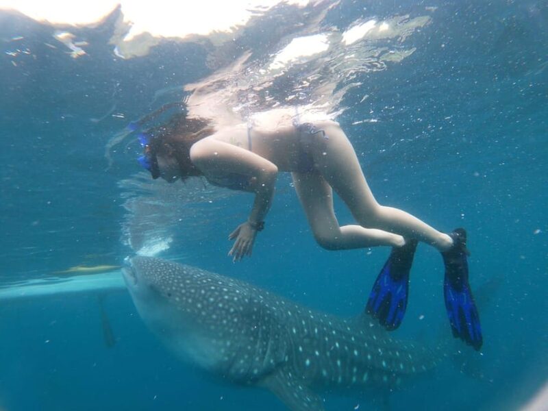 Oslob: Whalesharkwatching, Sumilon Sandbar & Cuartel Ruins - Key Points