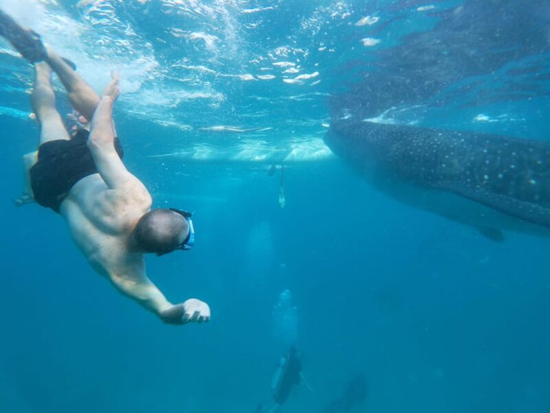 Oslob: Whalesharkwatching, Sumilon Sandbar & Cuartel Ruins - Sumilon Island Activities