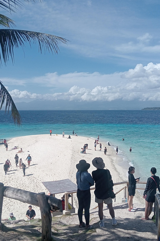 Oslob: Whalesharkwatching, Sumilon Sandbar & Cuartel Ruins - Pricing and Duration