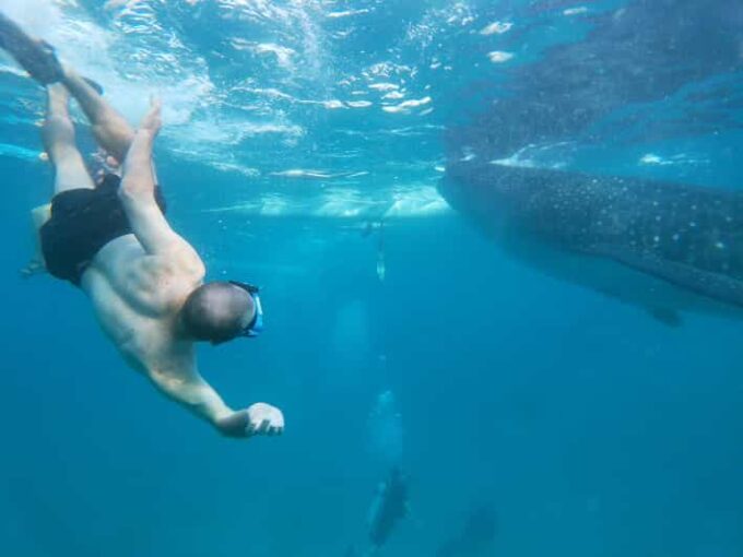 Oslob: Whalesharkwatching, Sumilon Sandbar & Cuartel Ruins - Frequently Asked Questions