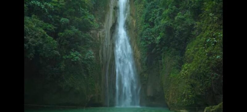 Oslob Whalewatching, Moalboal Snorkeling,Mantayupan Falls - Experience Highlights