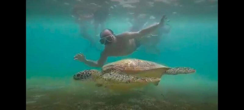 Oslob Whalewatching, Moalboal Snorkeling,Mantayupan Falls - Inclusions