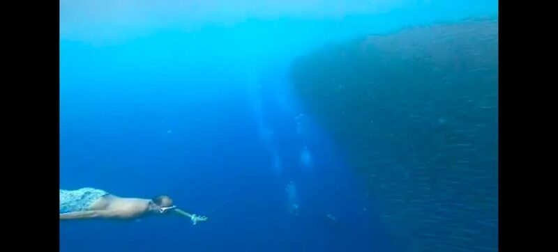 Oslob Whalewatching, Moalboal Snorkeling,Mantayupan Falls - Mantayupan Falls