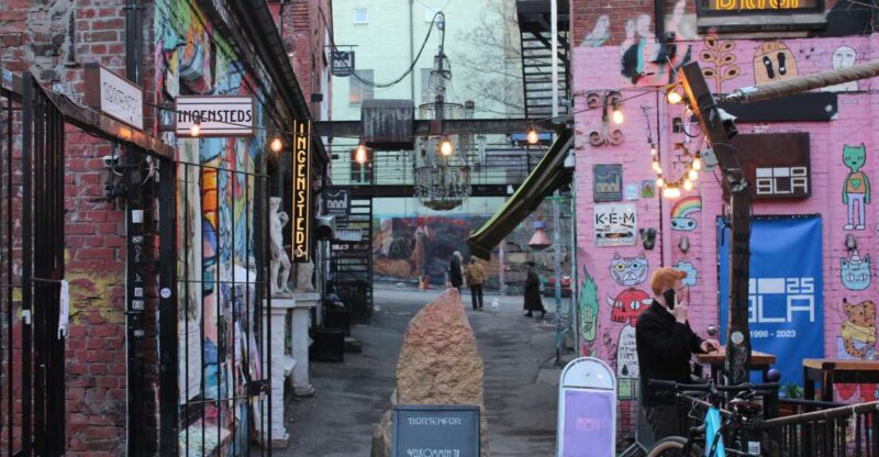 Oslo'S Art and Culture Revealed by a Local - Discover Local Artists Connections