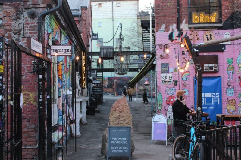 Oslo'S Art and Culture Revealed by a Local - Suitable for First-Time and Returning Tourists