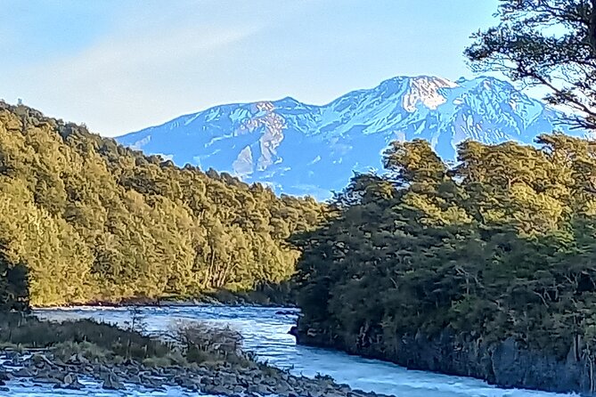 Osorno Volcano Tour + Petrohue Falls / Cruises / Spanish - What to Expect