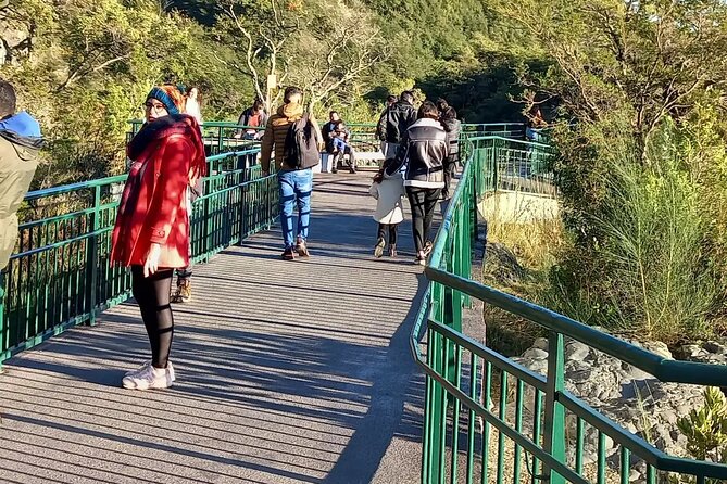 Osorno Volcano Tour + Petrohue Falls / Cruises / Spanish - Recap