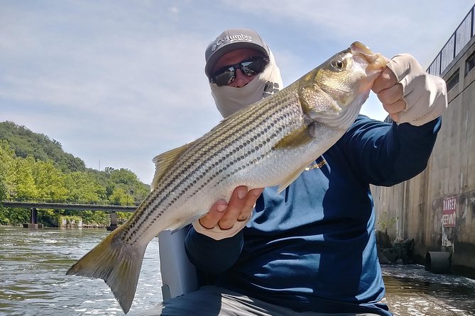 Osprey Fishing Charters: Potomac River Fishing - Booking and Payment Details