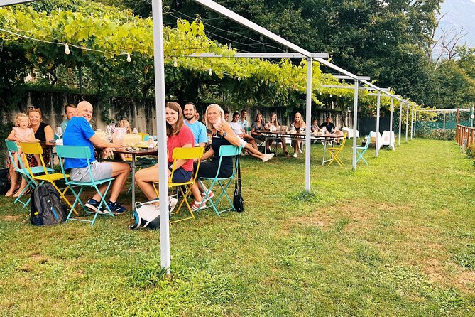 Ossola Valley Winery Tour With Tastings - Good To Know