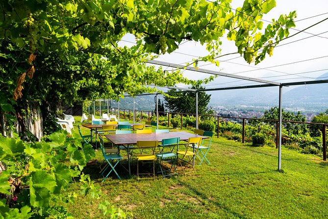 Ossola Valley Winery Tour With Tastings - Guest Experiences