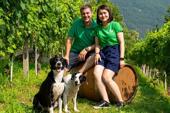 Ossola Valley Winery Tour With Tastings - Scenic Backdrop