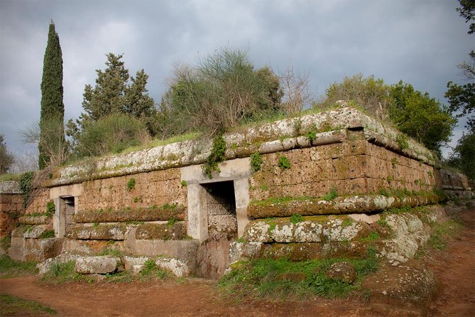Ostia and Cerveteri With Driver Private Shore Excursion for Cruisers - Tour Format and Flexibility
