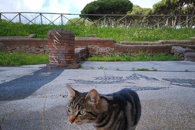 Ostia Antica Archaeological Park With Italian Ice Cream - Tour Highlights