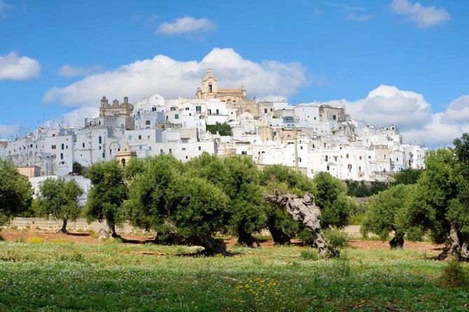 Ostuni, Alberobello and Polignano a Mare. Departing From Lecce - Visiting Alberobello