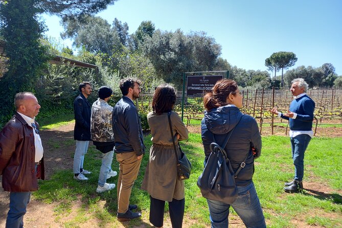 Ostuni DOC Winetour and Tasting. - Start Time