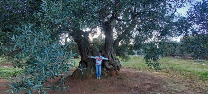 Ostuni: E-Bike Tour With a Glass of Wine & Bruschetta - Immerse in Ancient Olive Groves