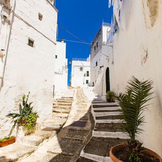 Ostuni: Private City Walking Tour With Local Guide - Pricing and Booking