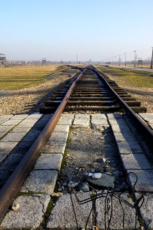 Oswiecim: Auschwitz-Birkenau Skip-the-Line Entry Tickets - Tour Experience and Highlights