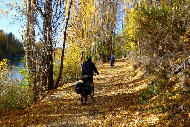 Otago Central Rail Trail One Day Wonder Cycle Tour - Traveler Reviews and Recommendations