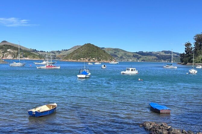 Otago Harbour by Bike: A Self Guided Tour - Frequently Asked Questions