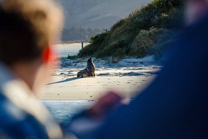 Otago Harbour Wildlife Cruise (Dunedin Shore Excursion) - Scenic Views and Commentary