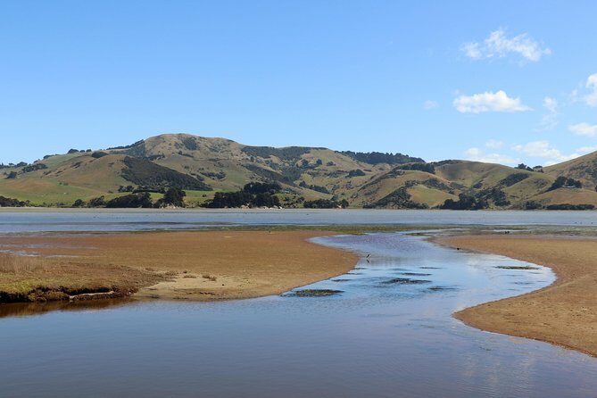 Otago Peninsula & Larnach Castle Shore Excursion - Final Thoughts: Who Will Love This Tour?