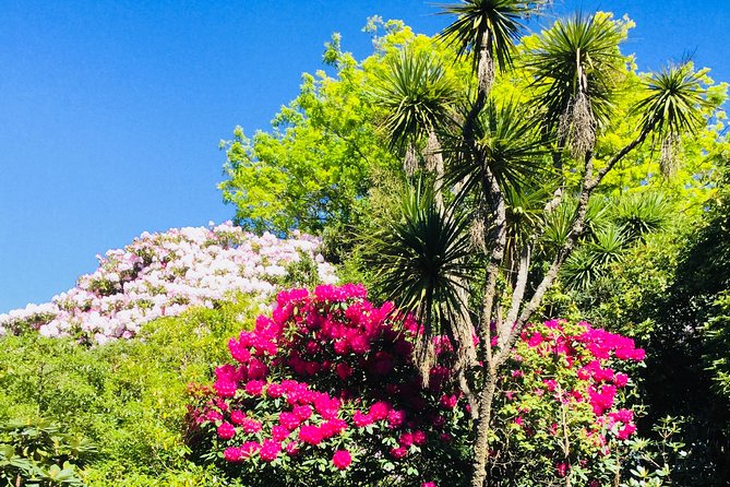 Otago Peninsula Scenery and Dunedin City Highlights Tour - Meeting Location and Accessibility