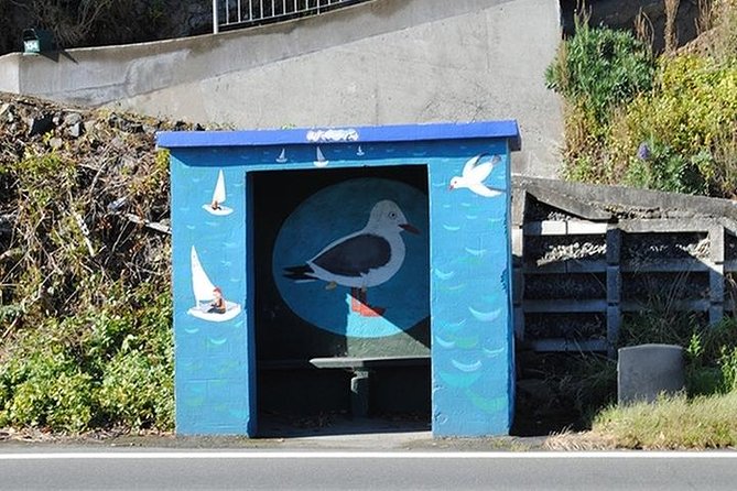 Otago Peninsulas Coastline: A Self-Guided Driving Tour - Reviews and Feedback