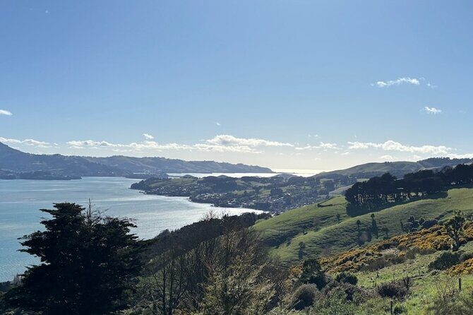 Otago Peninsula's Hidden Gems: A Self Guided Driving Tour - A Close Look at the Otago Peninsula Self-Guided Tour