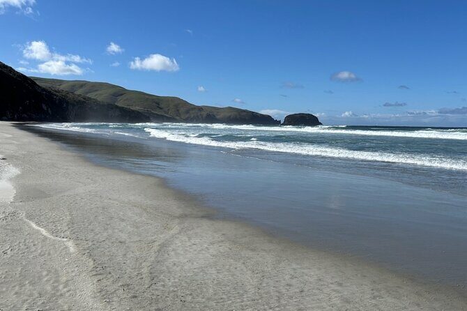 Otago Peninsula's Hidden Gems: A Self Guided Driving Tour - The Sum Up: Who Should Consider This Tour?