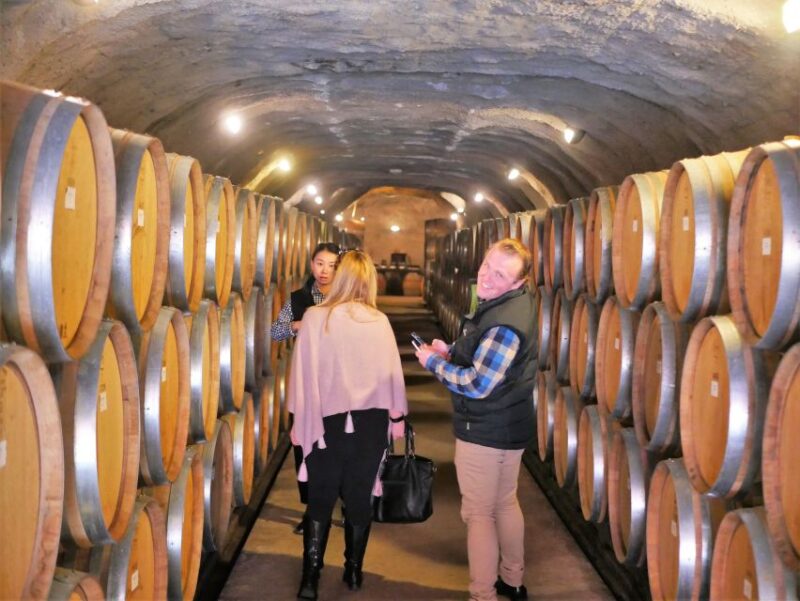Otago Wine Trail Bespoke Small Group Tour - Experience Highlights