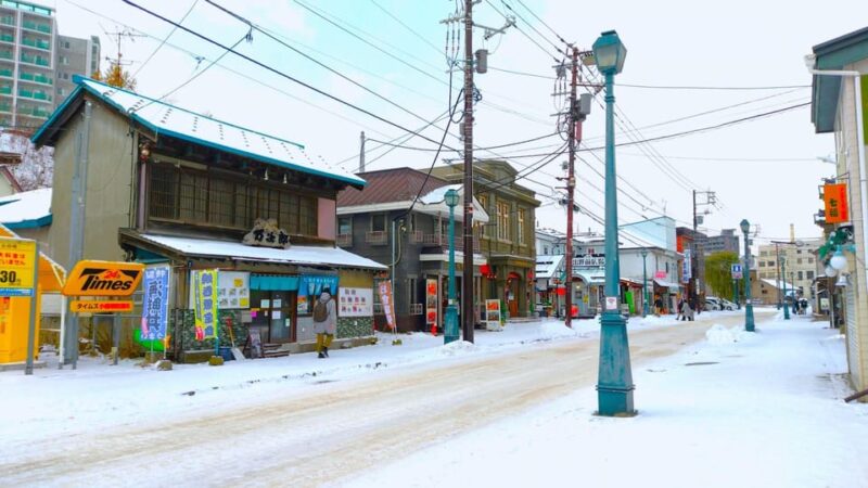 Otaru Aquarium, Ropeway, Cinematic Bus Tour From Sapporo - Sakaimachi Street