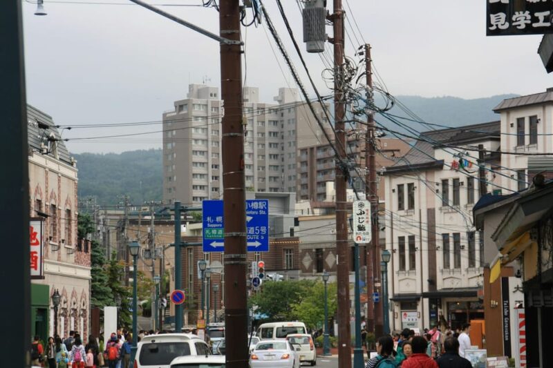 Otaru Tour: the Charm of Hokkaidos Historic Port City - Key Points