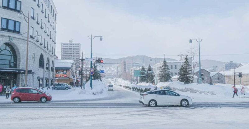 Otaru Tour: the Charm of Hokkaidos Historic Port City - Indulging in the Fresh Seafood Lunch