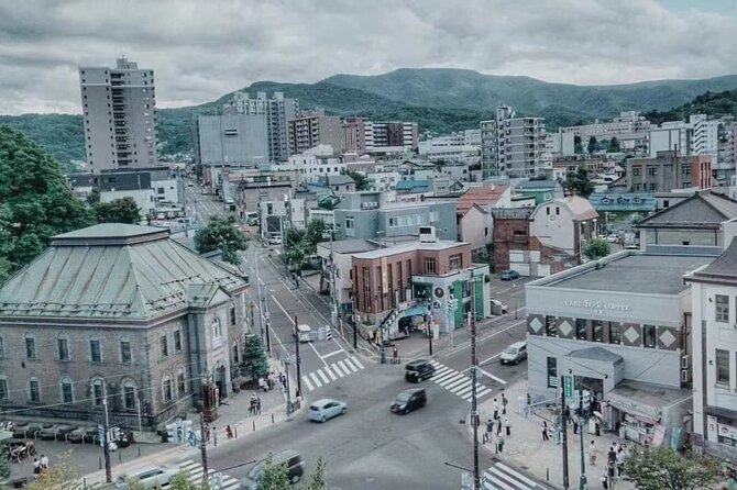 [Otaru & Yoichi] Lets Go to Otaru Canal, Sakaimachi Street, Music Box Hall, and Yoichi Nikka Whiskey by Private Car (Arriving and Departing From Sapporo) - Driver Experience