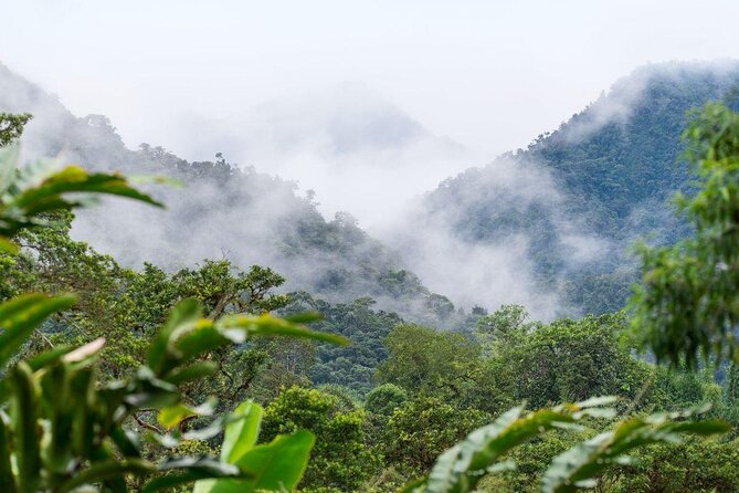 Otavalo Market-Mindo Cloud Forest Tour 3-Day 2-Night From Quito - Key Points