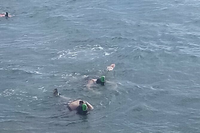 Other side of heaven Eco friendly snorkeling adventure - Authenticity and Value: What Travelers Say