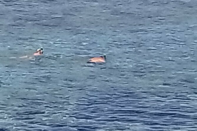 Other side of heaven Eco friendly snorkeling adventure - Transportation, Group Size, and Practical Considerations