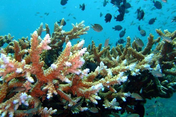 Other side of heaven Eco friendly snorkeling adventure - FAQs About the "Other Side of Heaven" Eco-Friendly Snorkeling Adventure