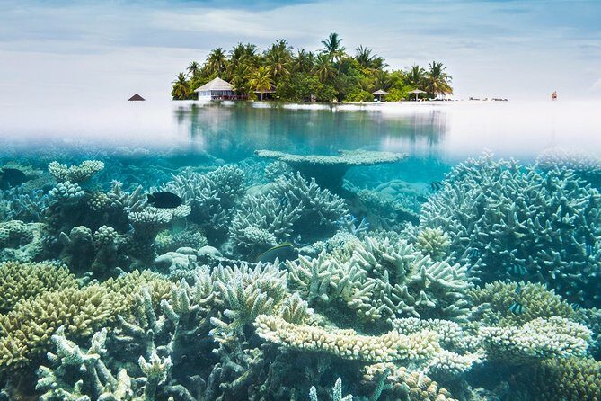 Other side of heaven Eco friendly snorkeling adventure - Final Verdict