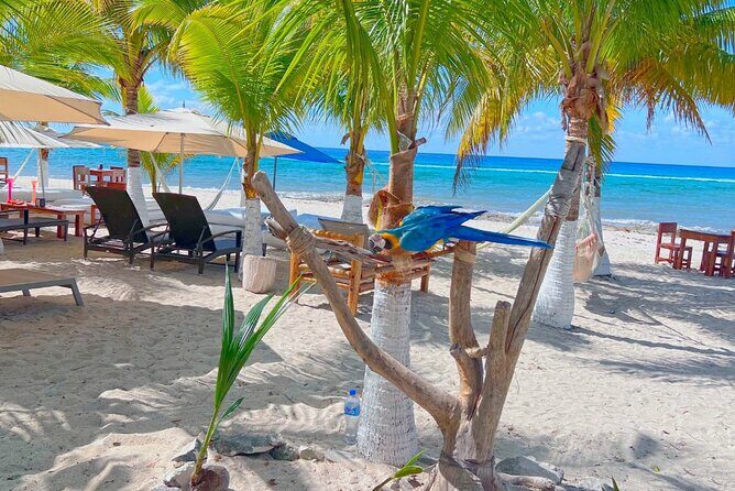 Otoch Mayan Experience Tour: Cultural & Historical Adventure - Authenticity and Practicality: The Value of the Tour