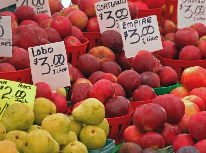 Ottawa: ByWard Market Food Tour with 7 Local Tastings - Authenticity and Value