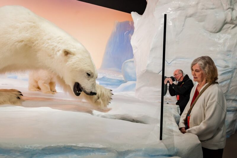 Ottawa: Canadian Museum of Nature Admission - Museum Location and Accessibility