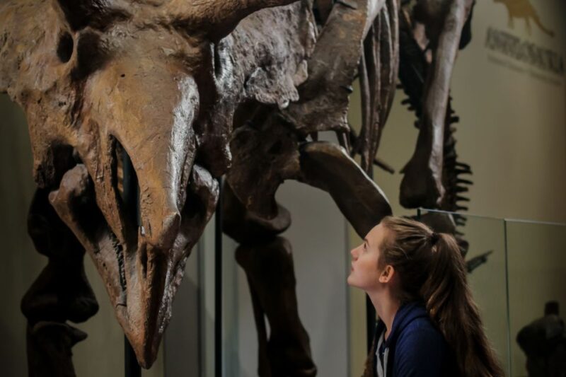 Ottawa: Canadian Museum of Nature Admission - Visitor Services and Amenities