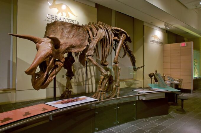 Ottawa: Canadian Museum of Nature Admission - Booking and Reservation Options