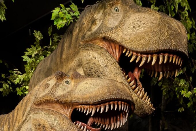 Ottawa: Canadian Museum of Nature Admission - Frequently Asked Questions